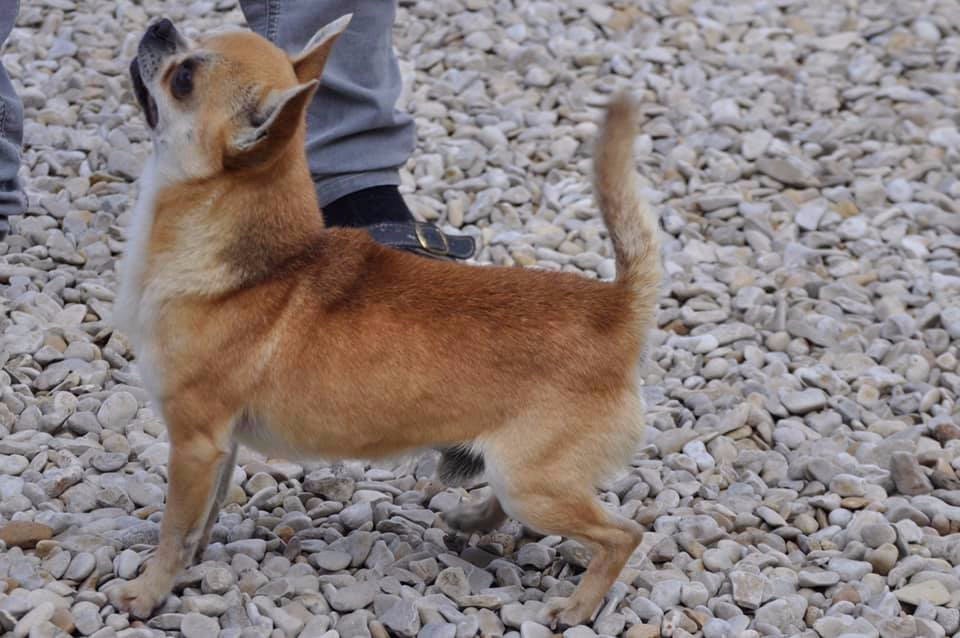 Levi's strauss du Royaume d'Isthar